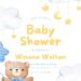 Bear Boy Baby Shower Invitation