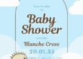 Little Bird Baby Shower Invitation