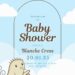 Little Bird Baby Shower Invitation