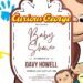 FREE Editable Curious George Baby Shower Invitation