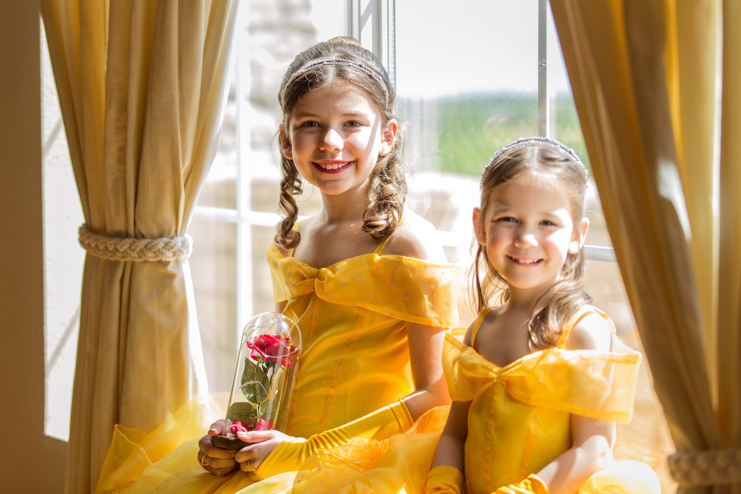 Princess Belle Birthday Party Planner 