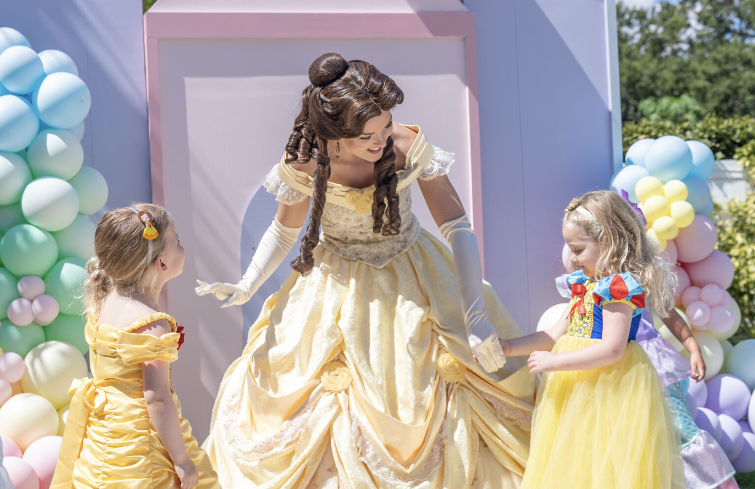 Princess Belle Birthday Party Planner 